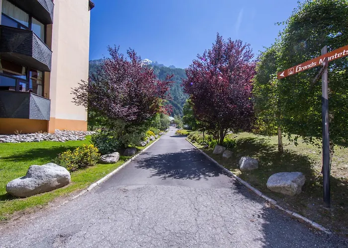 Grand Roc - Campanules 303 - Happy Appartement Chamonix