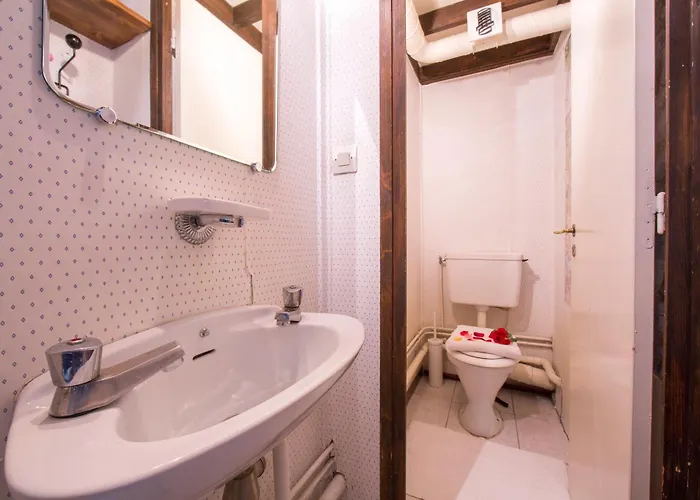 Grand Roc - Campanules 303 - Happy *