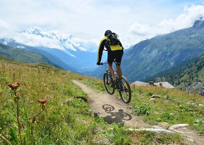 Grand Roc - Campanules 303 - Happy *