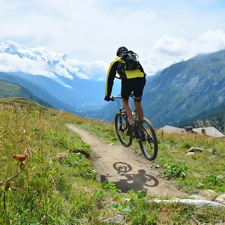 Grand Roc - Campanules 303 - Happy *